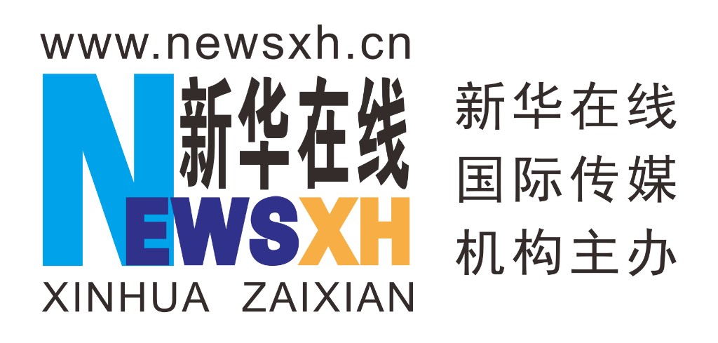 新华在线